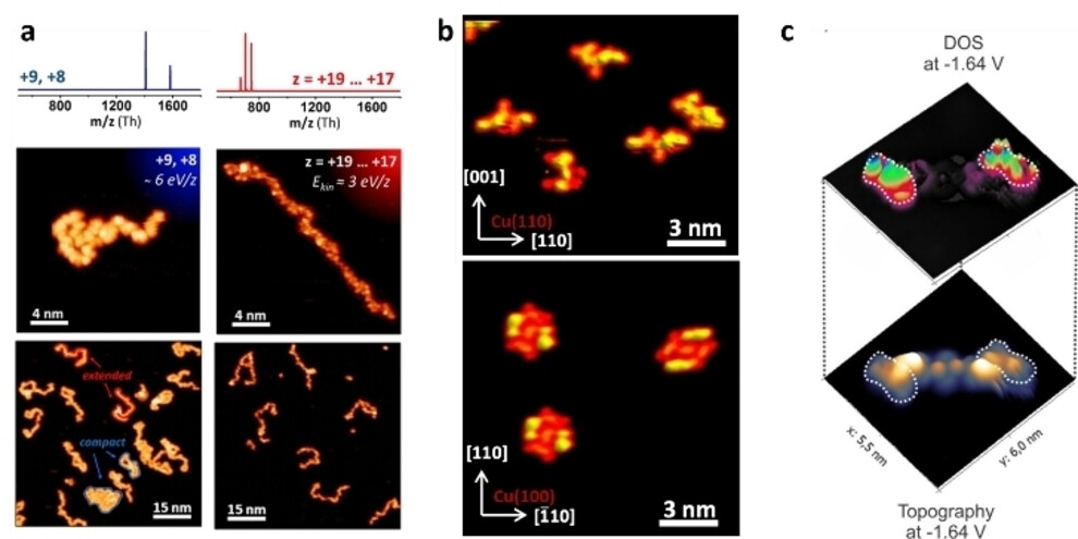 STM imaging of peptides